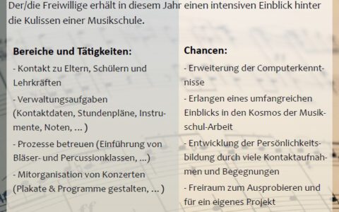 Berufsfreiwilligendienst an unserer Musikschule