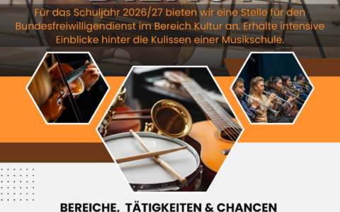 Berufsfreiwilligendienst an unserer Musikschule